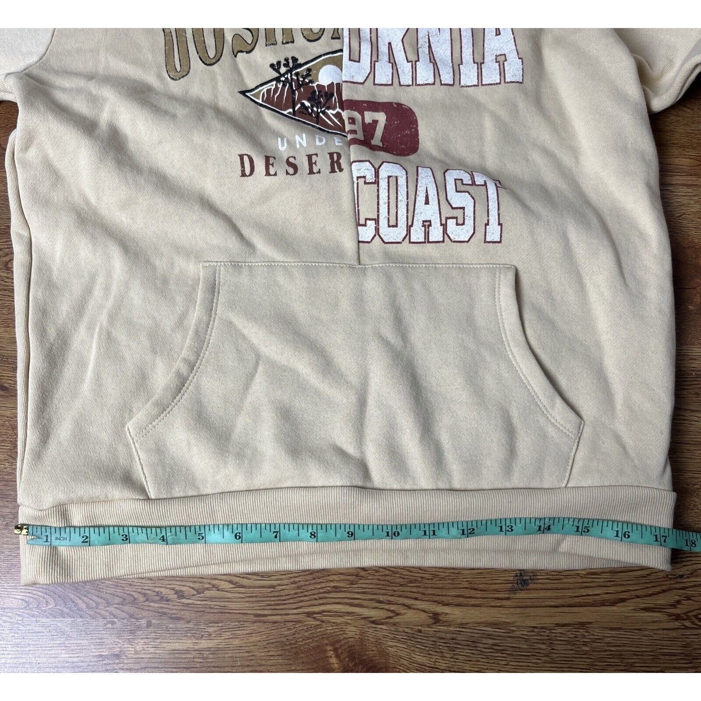 Vinyl Icons Joshua Tree & Cali Coast Split Graphic Hoodie Pebble Size Small NWT
