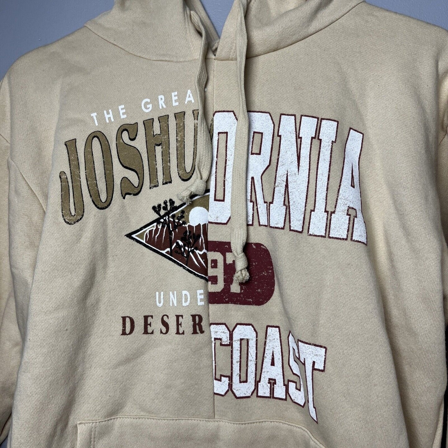 Vinyl Icons Joshua Tree & Cali Coast Split Graphic Hoodie Pebble Size Small NWT