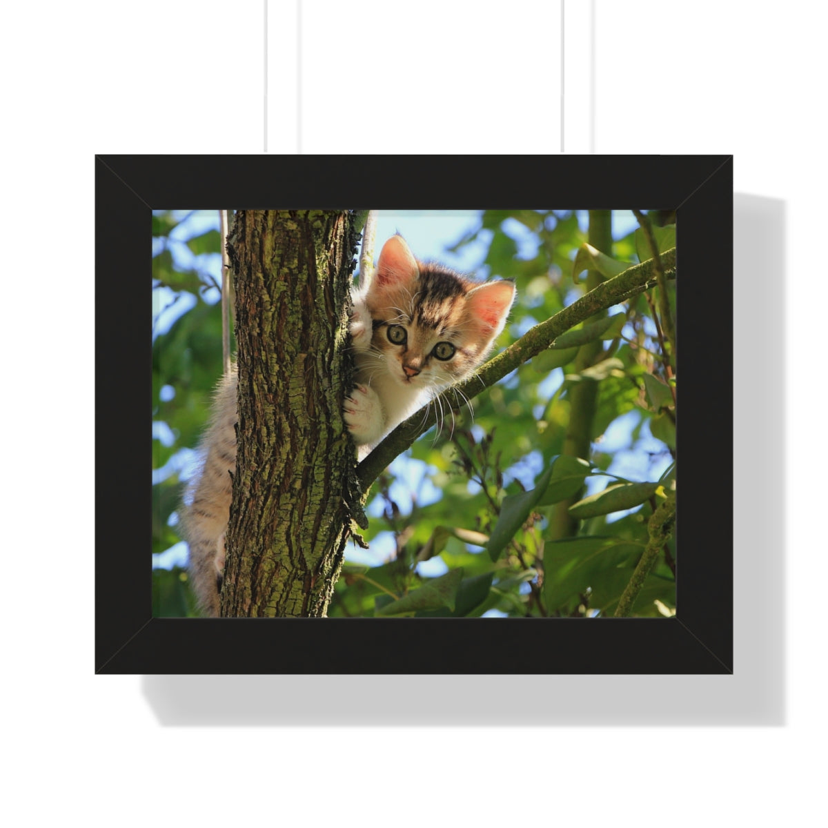 Horizontal Framed Custom Poster