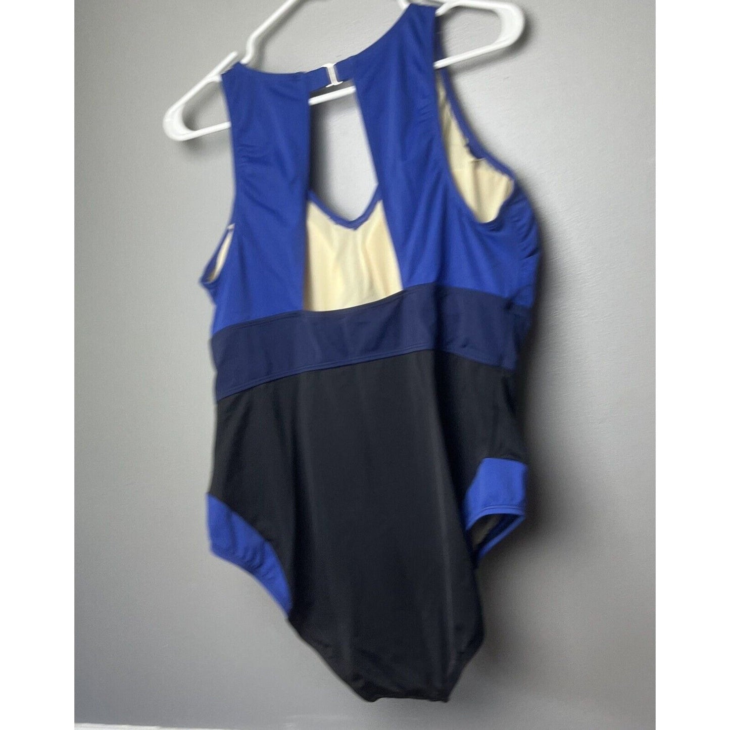 zuda Colorblocked V-Neck One-Piece Swimsuit (Ultramarine, 18W) A475550