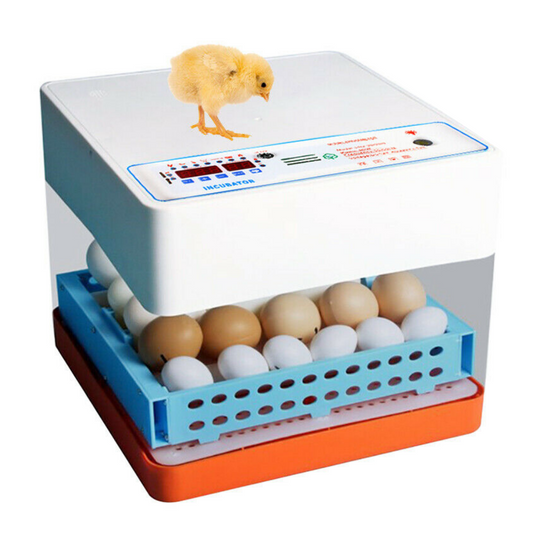 Large Automatic Quail Chicken Egg Incubator
