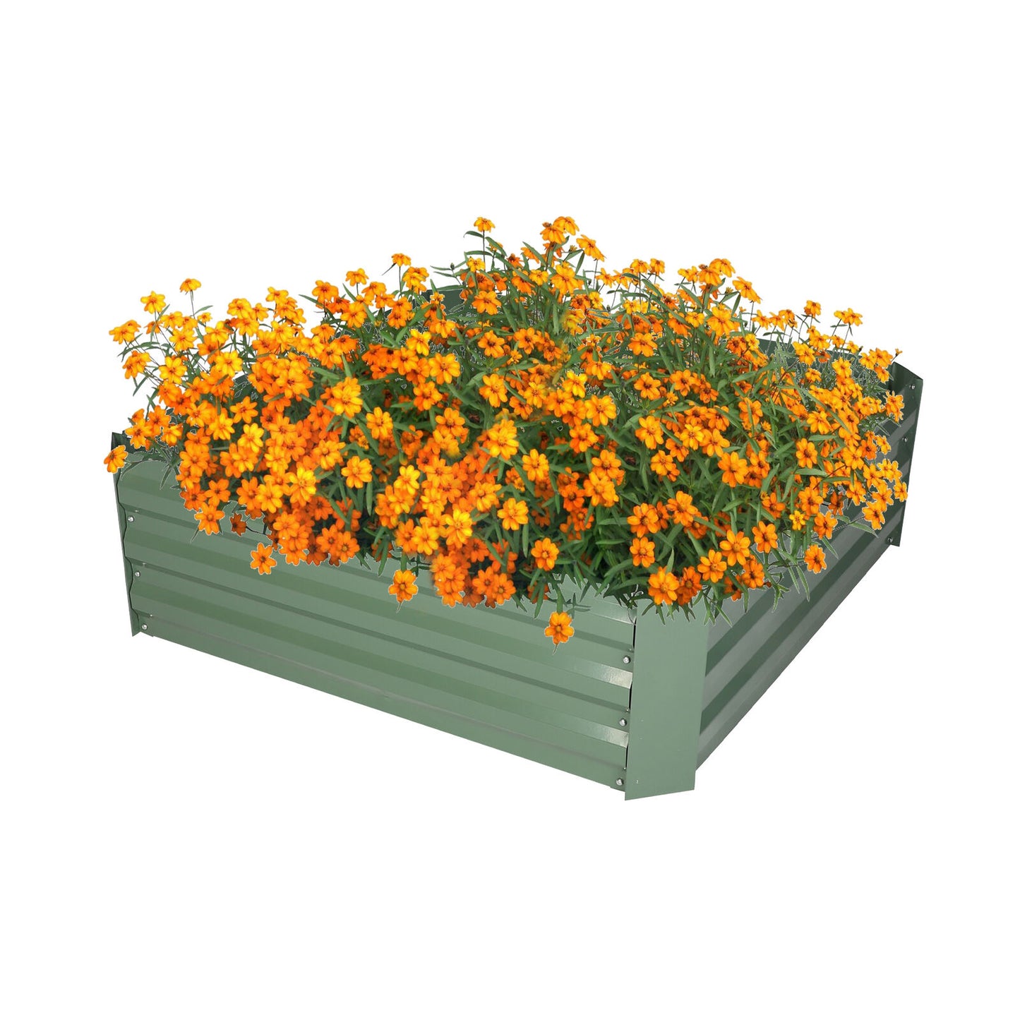 Raised Galvanized Metal Outdoor Garden Planter Box