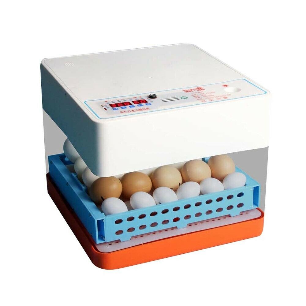 Large Automatic Quail Chicken Egg Incubator